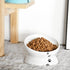 Y YHY Elevated Tilted Cat Food Bowl 6", Raised Ceramic Pet Food Water Dish 10 oz, White