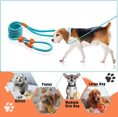 Slip Leads for Dogs, 5 FT Lightweight Rope Leash for Medium Dogs, No Pull Training Leash, Quick Put On and Take Off