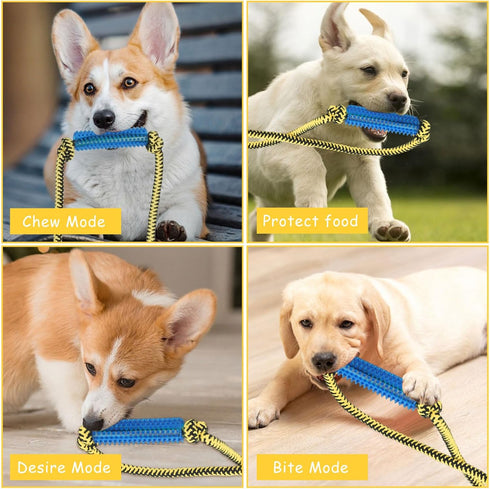 ChengFu Interactive Dog Toys: Crate Training Aids, Puppy Teething Toys, Peanut Butter Treat Dispenser