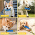 ChengFu Interactive Dog Toys: Crate Training Aids, Puppy Teething Toys, Peanut Butter Treat Dispenser