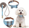 BINGPET Dog Collar and Leash Set, Cute Adjustable Plaid Bandana Collar with Bell, Fit for Small Dogs and Cats