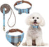 BINGPET Dog Collar and Leash Set, Cute Adjustable Plaid Bandana Collar with Bell, Fit for Small Dogs and Cats