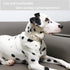 ARING PET Cotton Dog Collar, Soft Lightweight Comfortable for Small Dogs, Quick Release Buckle for Small Medium Large