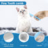Dog Grooming Kit 6PCS - Dog Brush for Shedding, Dematting Comb, Nail Clipper with File, Flea Comb, Bath Brush - Blue