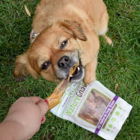 Nature Gnaws Beef Tendons for Dogs - 7-11" (12 Count), Long Lasting Natural Jerky Chew Bones, Rawhide Free