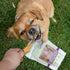 Nature Gnaws Beef Tendons for Dogs - 7-11" (12 Count), Long Lasting Natural Jerky Chew Bones, Rawhide Free