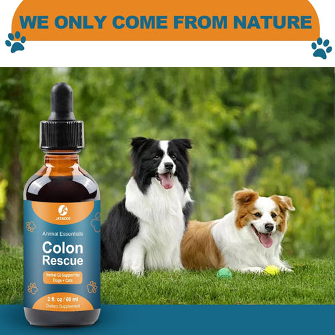 Colon Rescue Herbal Support for Dogs & Cats, 100% Organic Herbs for Healthy Gastrointestinal Tract
