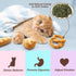 Bread Catnip Toys - Indoor Interactive Chew Bite Kick Toy Set, 6 Pack Plush Catmint Birthday Presents