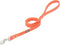 Brahma Webb Dog Leash, Blaze Orange, 3/4" x 6'
