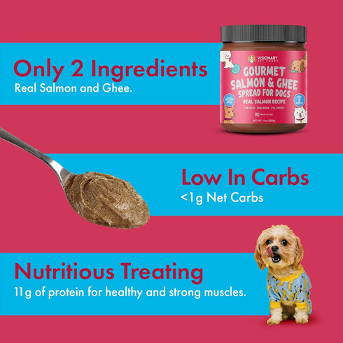 Visionary Pet Foods Tasty Spread for Dogs - Salmon Recipe - Healthy Dog Treat - Dog Treat Pouch - 10oz Jar