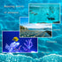 Aquarium Salinity Refractometer with ATC Function, Saltwater Test Kit for Seawater, Dual Scale