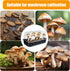YINORD 12PCS 2.5in Replacements.(2mm (24PCS) Monotub Adhesive Filter Disks, Mushroom Monotub Filter Discs, Mushroom