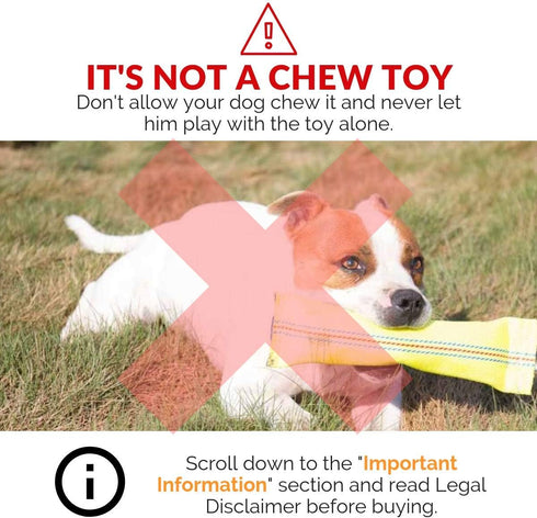 2-in-1 Floating Dog Fetch Toy & Bite Tug - Tough Interactive Throw Toys for Medium to Large Dogs