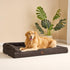 EHEYCIGA Memory Foam Orthopedic XL Dog Bed, Washable with Waterproof Lining, Removable Cover, Nonskid Bottom, 44x32