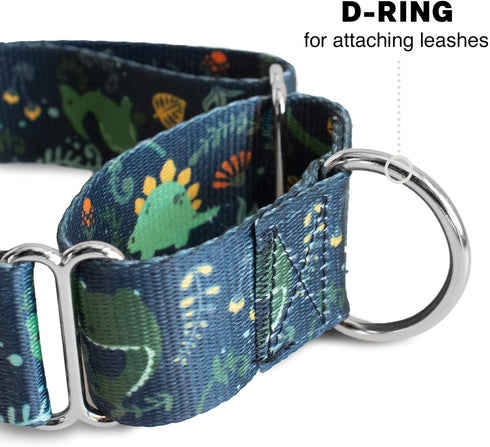 Downtown Pet Supply Martingale Collar for Dogs, Big Wide Thick Dog Training Collar, Escape-Proof, Weatherproof,