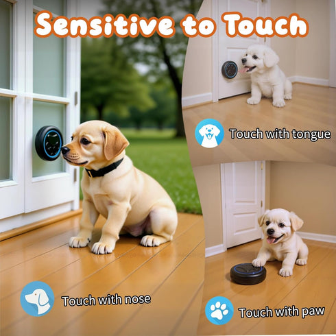 DFQ 1 1 1000 60 Wireless Dog Doorbell for Potty Training to Go Outside, Waterproof Pet Bell with Touch Buttons