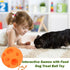 Dog Toy Balls, 5 Inch Treat Dispenser, Interactive Chew Toy for Food Dispensing, Ball for Large Medium Dogs (Orange)