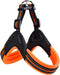 No Pull Dog Harness, Ultra Soft Breathable Padded Pet Harness 3M Reflective for Small Medium Large Dogs (S, Bright