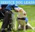MayPaw 4FT Service Dog Leash, 1" and 1.25" Wide Nylon with Comfortable Neoprene Handle for Medium to Extra-Large Dogs