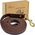 Guiding Star Leather Dog Leash 6ft, Heavy Duty Handmade Training Leash for Large Medium Dogs (Brown)