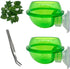 Chameleon Feeding Bowl with Suction Cup, 4Pcs Reptiles Feeder Water Bowls for Lizard Bearded Dragon Gecko