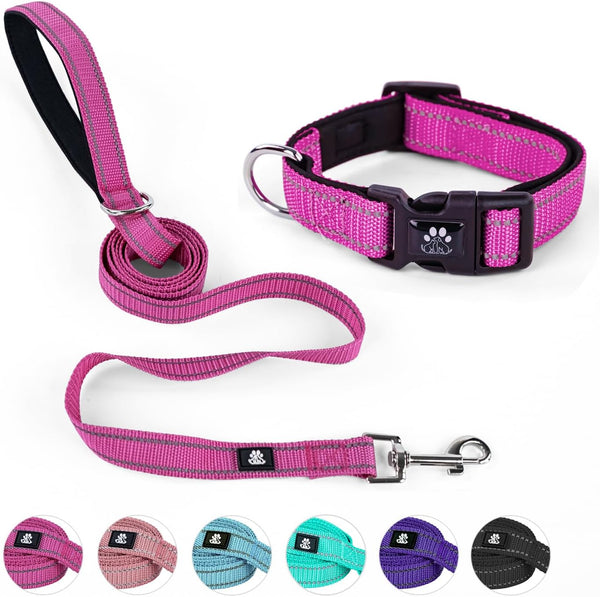 NESTROAD Reflective Dog Collar and Leash Set, Soft Neoprene Adjustable Nylon Collar for Small Medium Large Dogs (Small