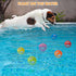 Squeaky Dog Toys Chewing Durable Teething Latex Rubber Balls with Funny Smile Face for Small Medium Dogs (6PCS)