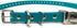 Sparky Pet Co - Apollo ECollar Replacement Strap - Waterproof Biothane Dog Collar - Adjustable, 3/4" x 28" (Teal)