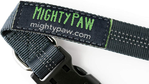 Mighty Paw Hands Free Dog Leash | Bungee Waist Leash for Dog Walking, Pet Waist Belt (36" - 48") - Gray, Up to 150 lbs