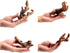 Set of 4 Small Natural Driftwood 4-6'' for Aquarium Styling, Reptile Tank Decor (Pack of 4)