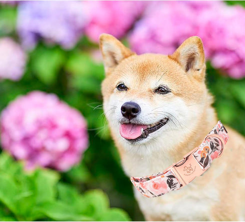 Elegant Little Tail Dog Collar, Pink Floral Pattern Adjustable Pet Collar for X-Large Dogs, Durable Cute Gift