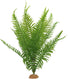JIHAQUA Fake Fern Plants, Reptile Plastic Terrarium Decor, Reptiles Amphibians Tank Accessories for Crested Gecko