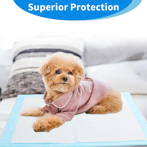 22" 22" 80 Pack, Puppy Pee Pads x Ultra Absorbent Leakproof Potty Pads for Puppies, Small Dogs, and Cats, Heavy-Duty