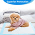 22" 22" 80 Pack, Puppy Pee Pads x Ultra Absorbent Leakproof Potty Pads for Puppies, Small Dogs, and Cats, Heavy-Duty