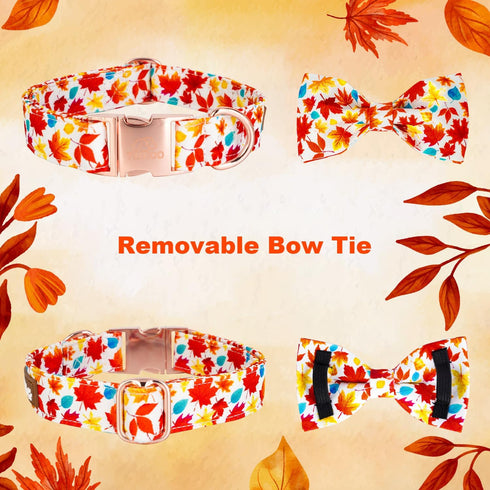 Fall Dog Collar with Elegant Bow Tie, Durable Adjustable Autumn Pet Collar, Available in Small Medium Large.