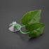Fudax Artificial Leaf for Betta, Suction Cup Looking Artificial Plant Leaf for Aquariums Supply
