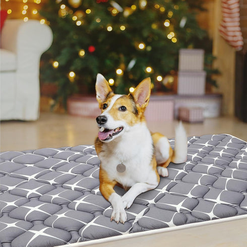 Dog Crate Mat, Ultra Soft Washable Dog Bed Mat with Anti-Slip Bottom, Cute Prints, 59" X 35"