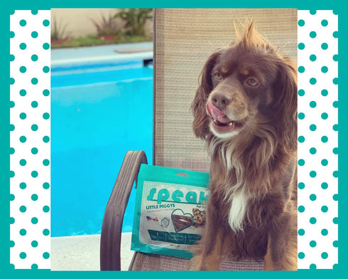 5 Inch 24 Count Speak Pet Products Dog Treats Little Piggys, Natural Gluten and Grain Free Low Calorie Pork Chews