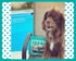 5 Inch 24 Count Speak Pet Products Dog Treats Little Piggys, Natural Gluten and Grain Free Low Calorie Pork Chews