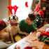 Elegant Little Tail Christmas Dog Collar with Bow, Herringbone Red Black Cotton Durable Bowtie Collar
