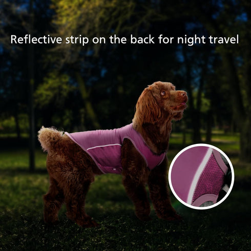 2 Pack UPF 50+ Sun Protection Dog Shirt, Lightweight Sports Fan T-Shirts for Medium Dogs, Reflective Strip