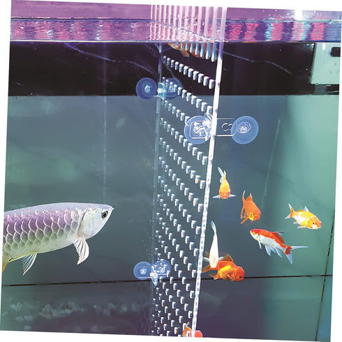 Fish Tank Board Separator: 10 Gallon Betta Fish Tank with Divider, Flapper Accessories, Portable Acrylic Decor