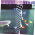 Fish Tank Board Separator: 10 Gallon Betta Fish Tank with Divider, Flapper Accessories, Portable Acrylic Decor