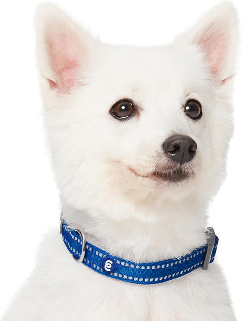 Blueberry Pet Essentials Pastel Color Reflective Dog Collar, Navy, Large, Neck 18"-26"