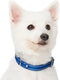 Blueberry Pet Essentials Pastel Color Reflective Dog Collar, Navy, Large, Neck 18"-26"