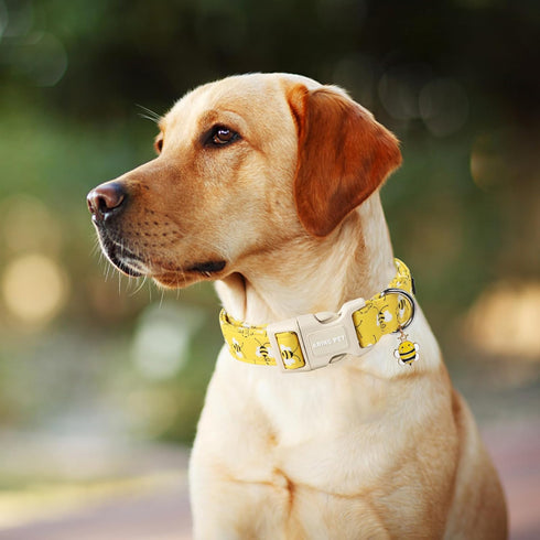 ARING PET Bees Dog Collar, Cute Adjustable Yellow Bees Print Pet Collars for Small Medium Large Dogs