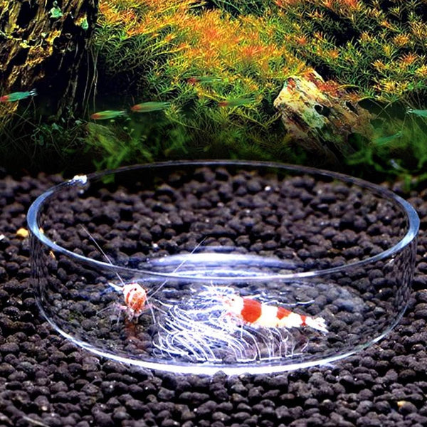Acrylic Aquarium Shrimp Feeding Dish Bowl, Transparent Food Container Feeder Tray for Smaller Reptiles and Pets