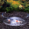 Acrylic Aquarium Shrimp Feeding Dish Bowl, Transparent Food Container Feeder Tray for Smaller Reptiles and Pets
