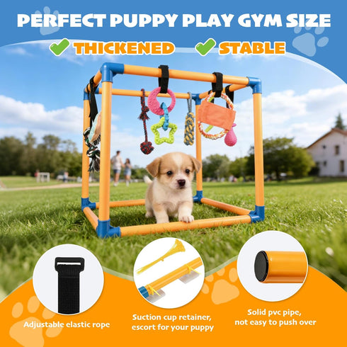 Wovelli 10 19.5" Puppy Play Gym with Hanging Toys, PVC Removable Dog Enrichment Playground, Interactive Indoor Training