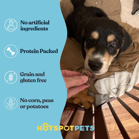 '-1 hotspot pets Beef Lung Dog Treats Pound Big Bag - Slow Roasted, All Natural Dehydrated Premium Beef Lung Training